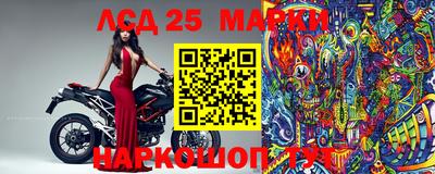 прущие крисы Гатчина