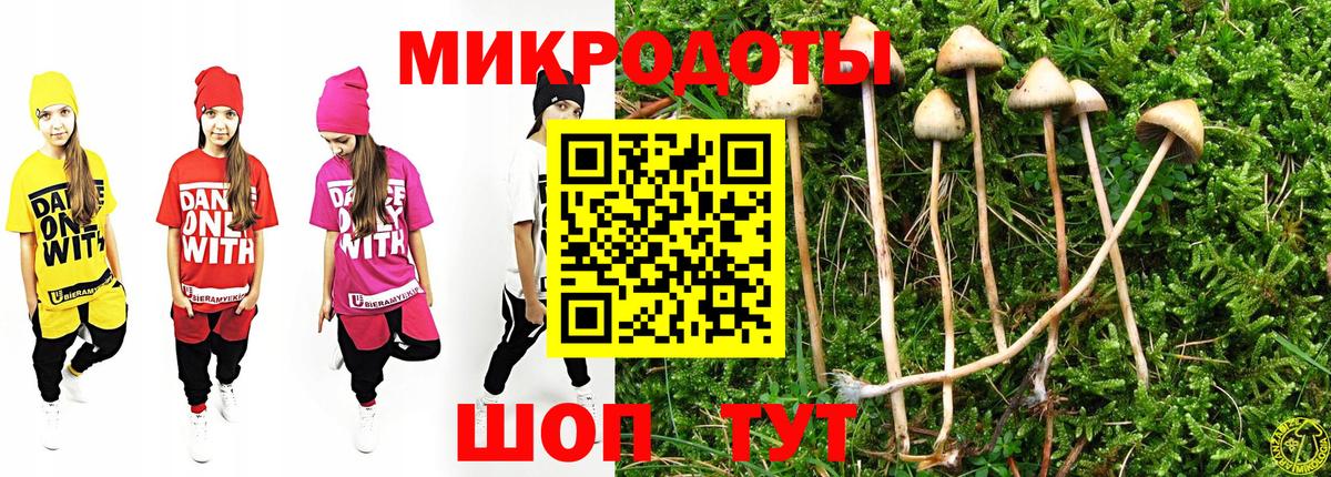 Галлюциногенные грибы GOLDEN TEACHER  Вход с VPN  Норильск 