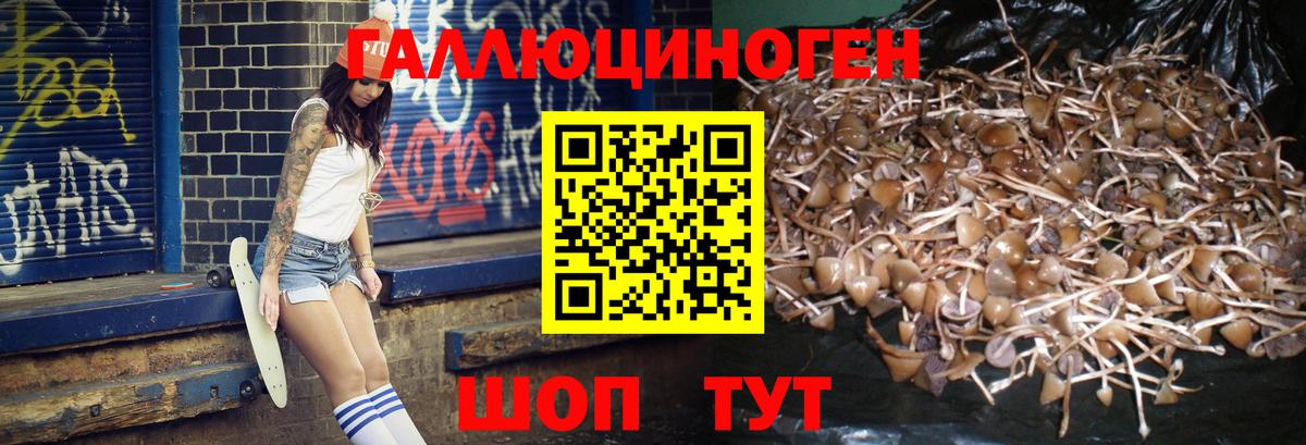 Псилоцибиновые грибы ЛСД Норильск